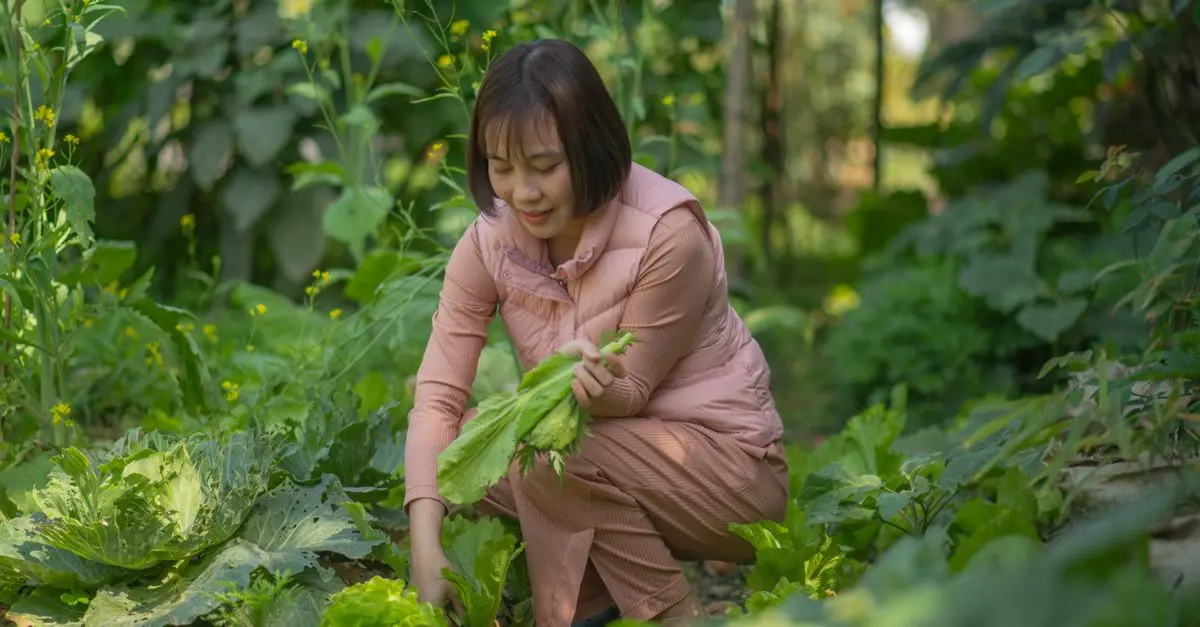 Comment Choisir les Meilleurs Légumes à Cultiver pour Débutants