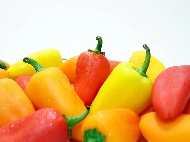 Les Légumes à Cultiver en Potager : Astuces et Techniques