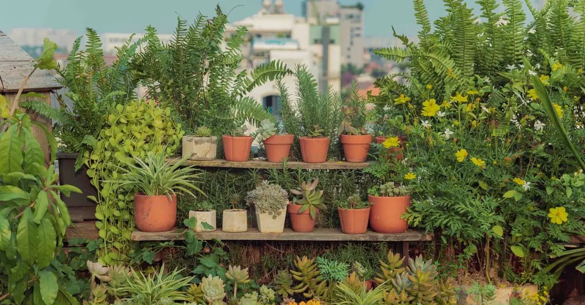 Comment Cultiver des Légumes en Potager Urbain : Guide Pratique