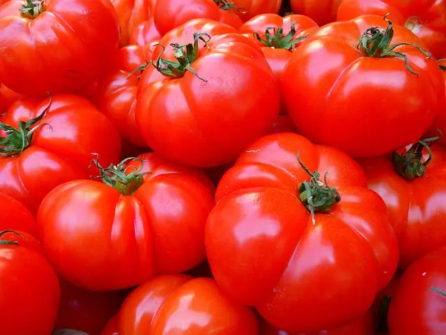 Guide Pratique pour Cultiver des Légumes d'Été : Conseils et Astuces