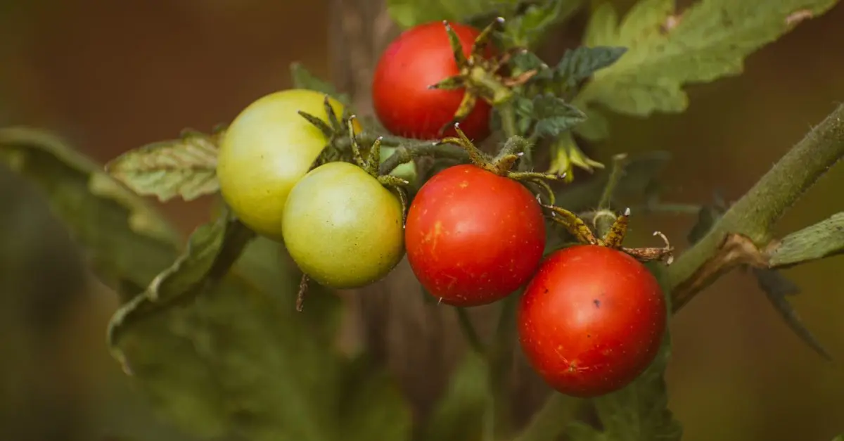 Guide Complet sur les Légumes de Saison : Quand et Comment Cultiver