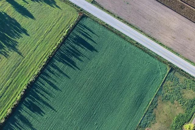Comment Cultiver des Légumes en Équilibre : Guide Complet