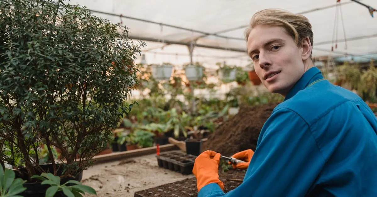 Comment Planter des Légumes en Intérieur Toute l'Année