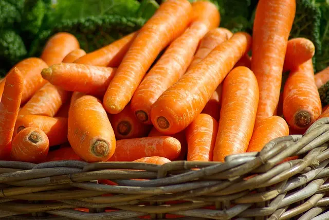 Guide Pratique pour Cultiver des Légumes d'Hiver : Variétés et Conseils