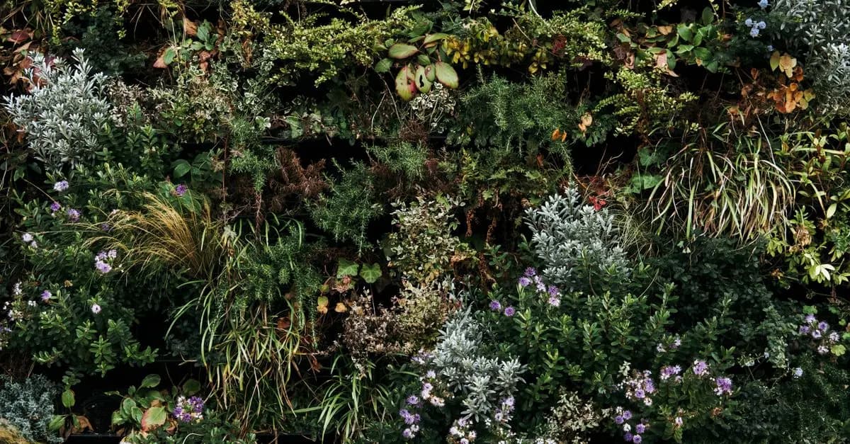 Guide Pratique pour Cultiver des Légumes de Saison