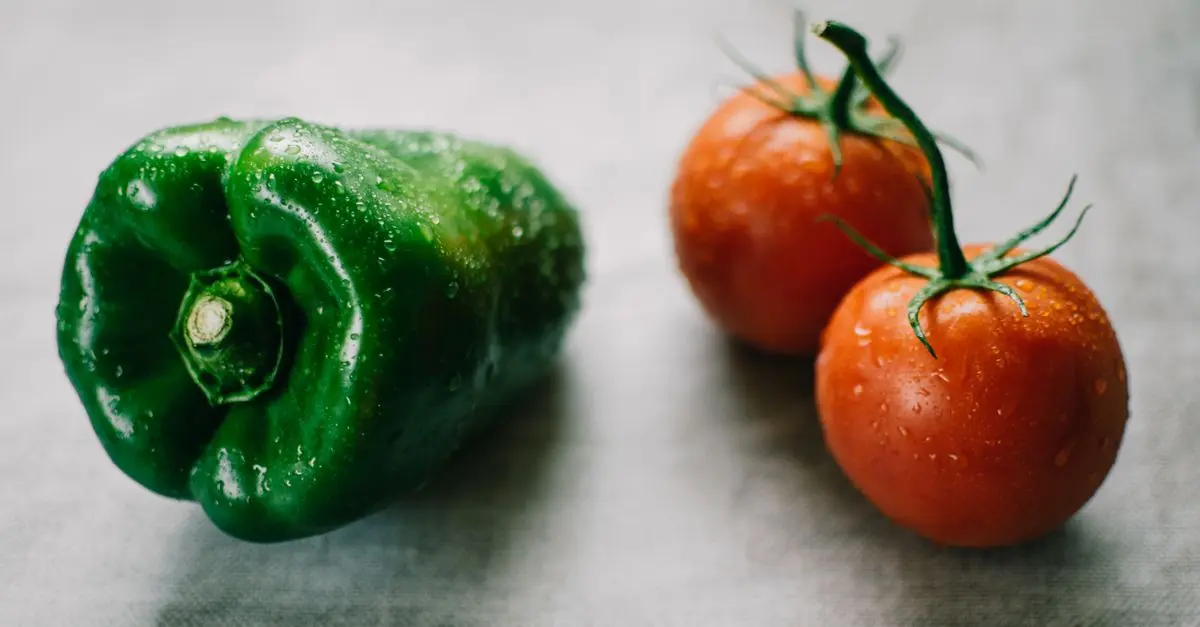 10 Légumes Faciles à Cultiver pour Débutants