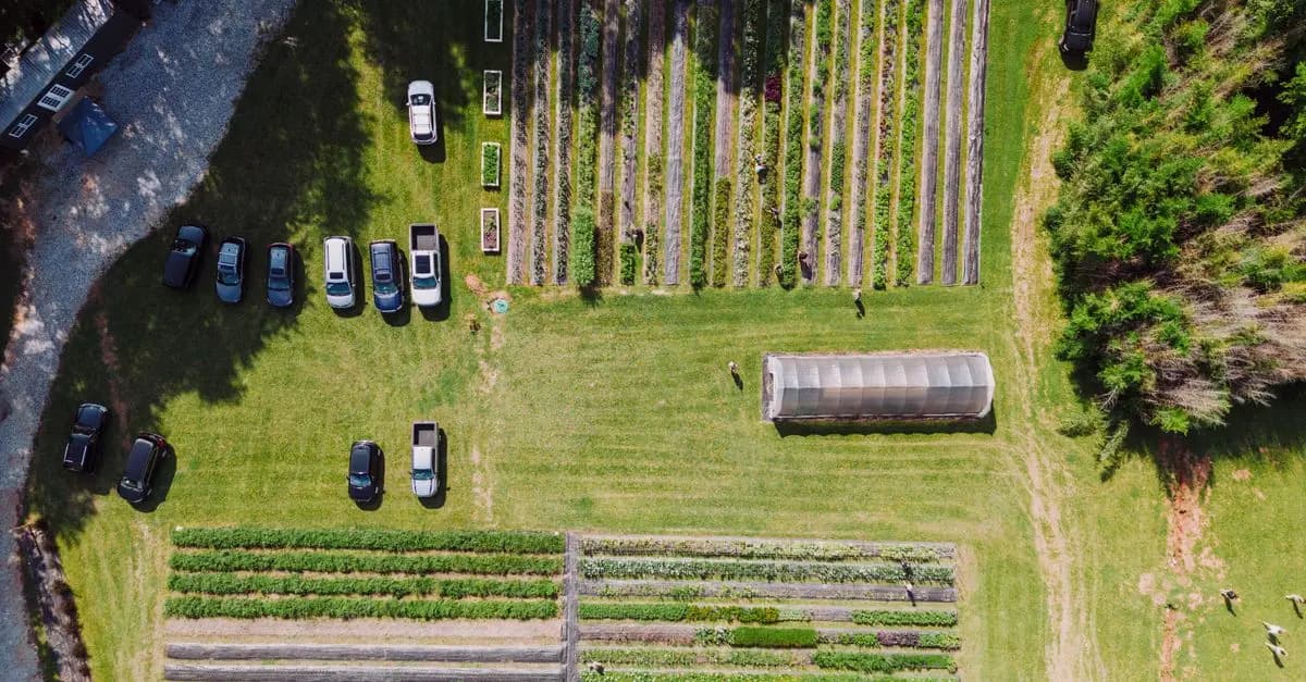 Guide Pratique pour Cultiver des Légumes à Haut Rendement