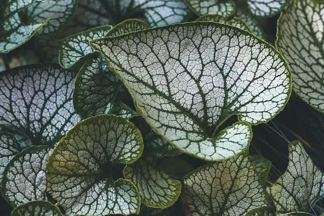 Comment Cultiver des Légumes de Saison : Guide Complet