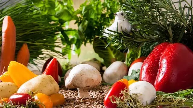 Guide des Légumes Indispensables à Cultiver dans Votre Potager