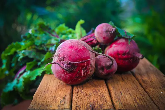 Comment Prendre Soin de Vos Légumes : Guide Pratique