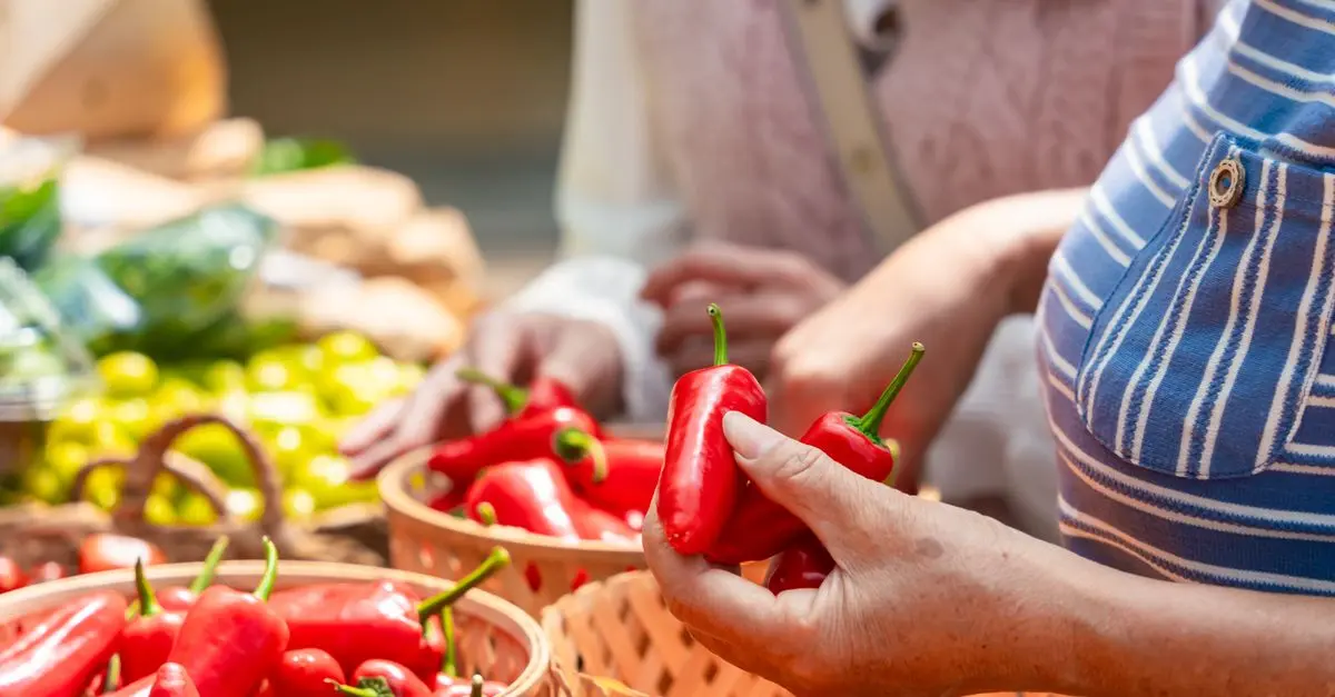 Tout Savoir sur les Légumes : Guide Complet pour Débutants