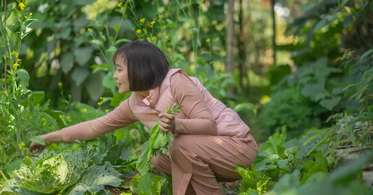 Comment Choisir les Meilleurs Légumes à Cultiver dans Votre Jardin