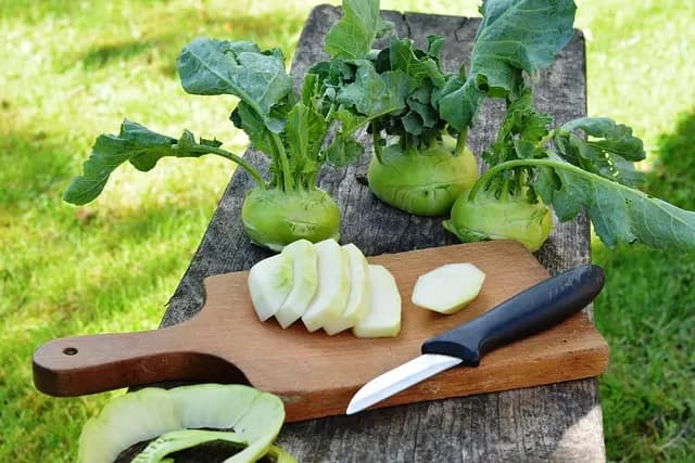 Guide Pratique pour Cultiver des Légumes en Équilibre