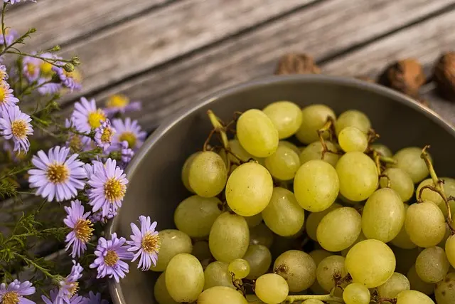 Le Guide Complet des Légumes : Nutriments, Saison et Cuisine