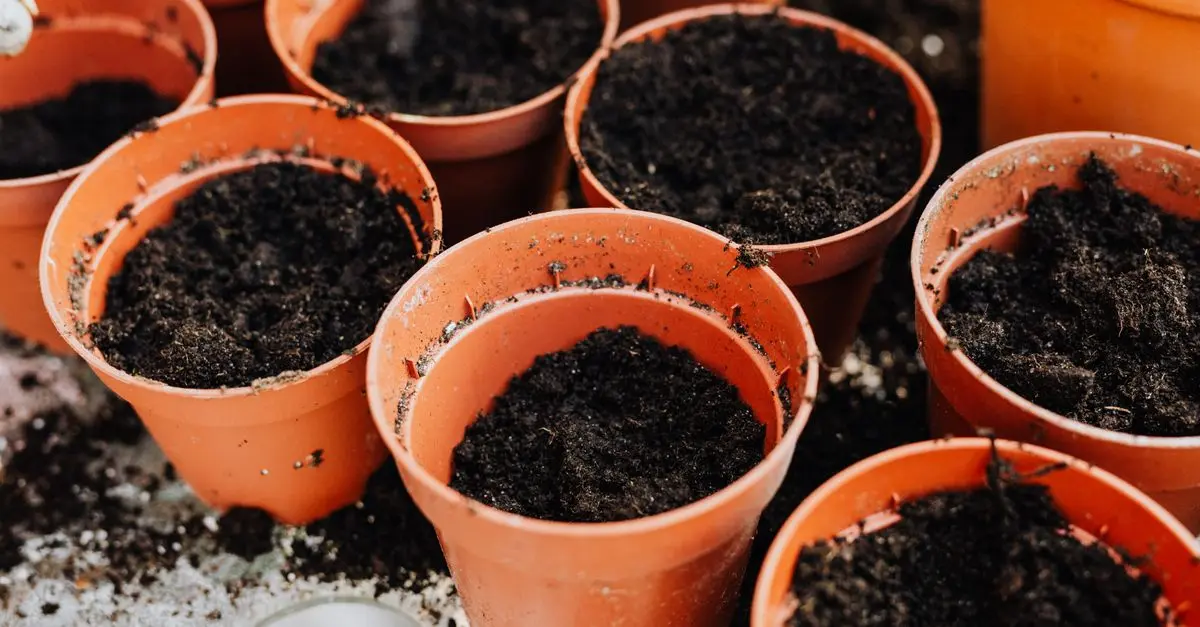 Guide Pratique pour Cultiver des Légumes en Conteneur