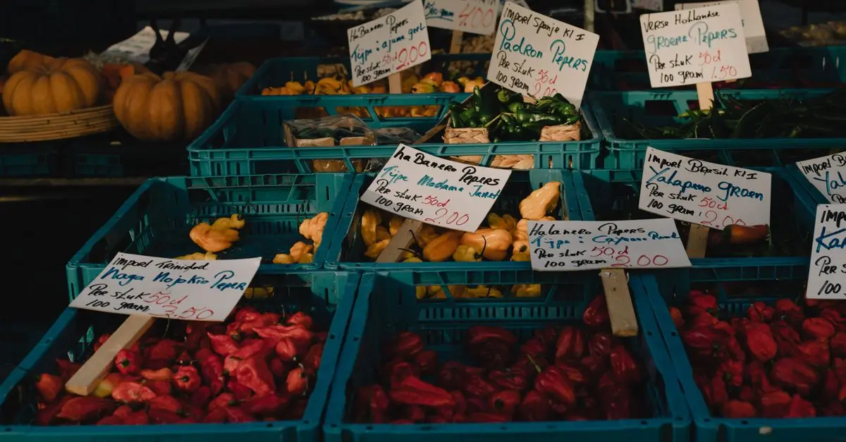 Les Légumes les Plus Rentables à Cultiver pour la Vente