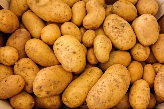 Guide Complet pour Cultiver des Légumes à Haute Valeur Nutritionnelle