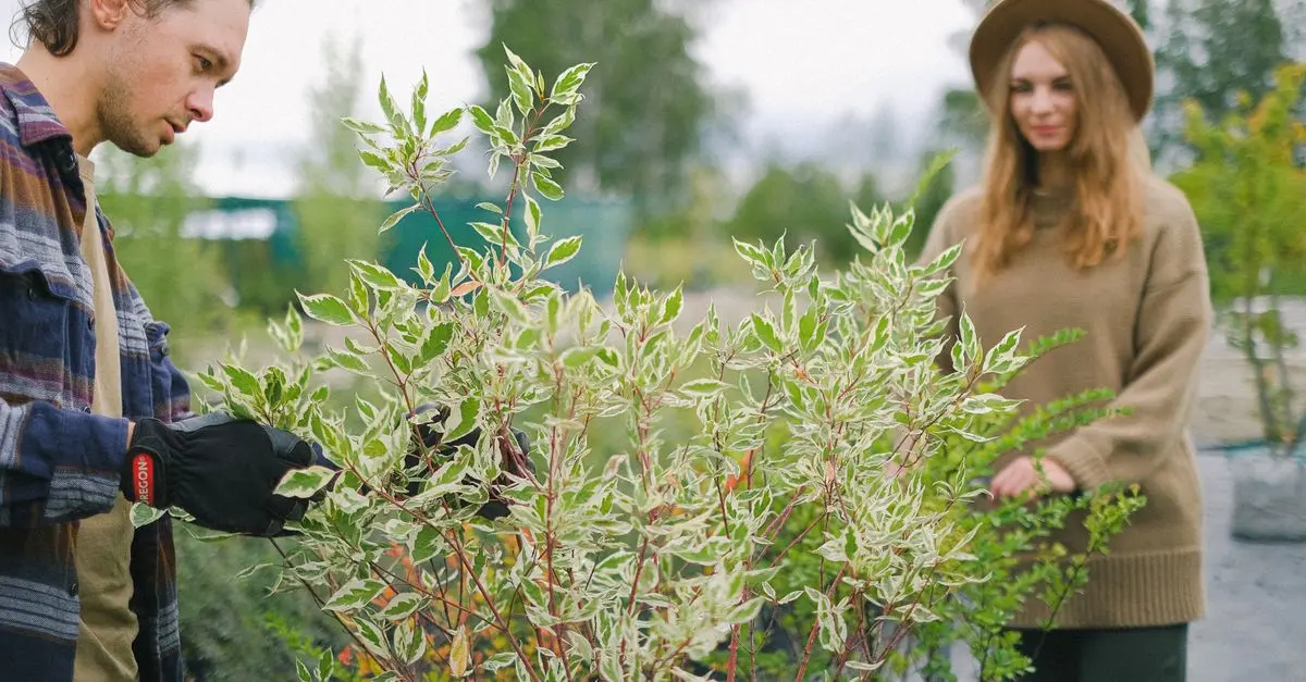 Potagers des Enfants : Activation de la Curiosité et de la Patience