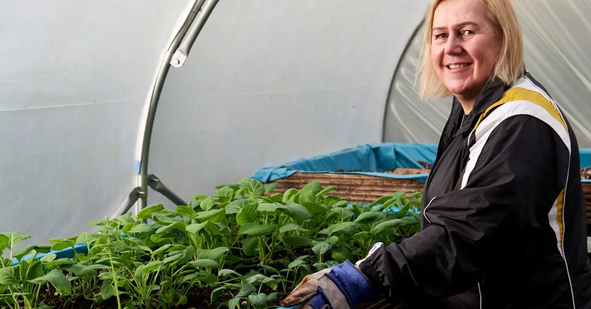 Guide Complet pour Cultiver des Légumes d'Hiver