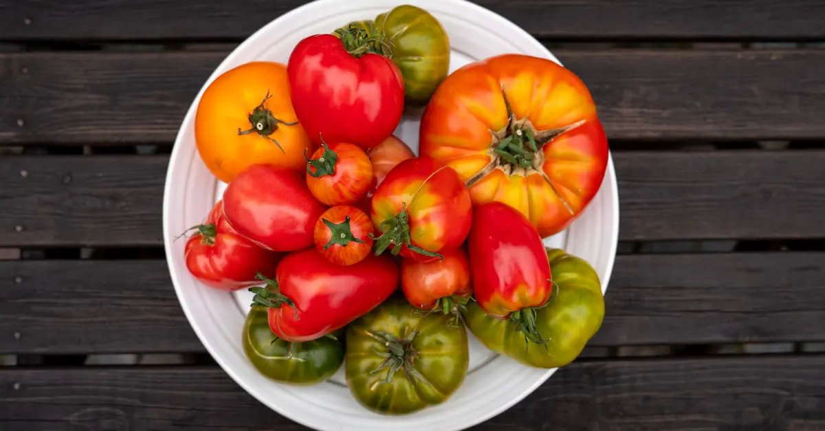 Guide Pratique pour Cultiver des Légumes d'Été avec Succès