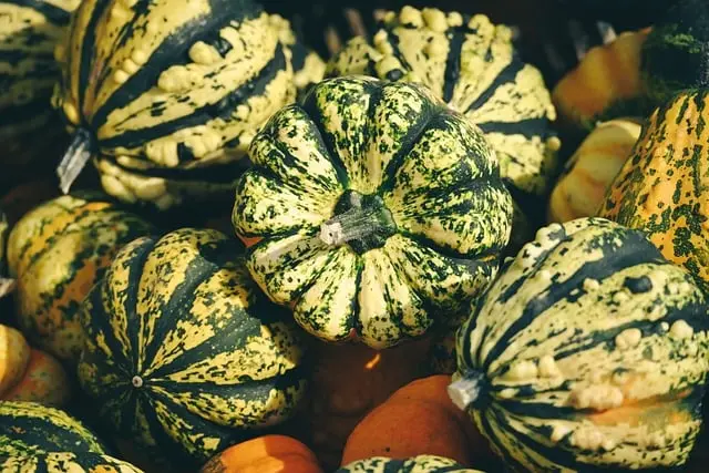 Les Légumes à Cultiver selon Votre Sol : Guide Pratique