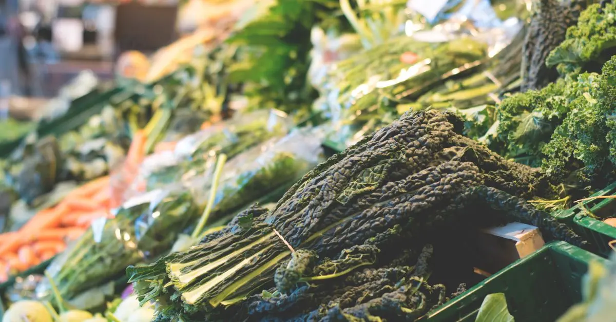 Tout Savoir sur les Légumes d'Hiver : Variétés et Entretien
