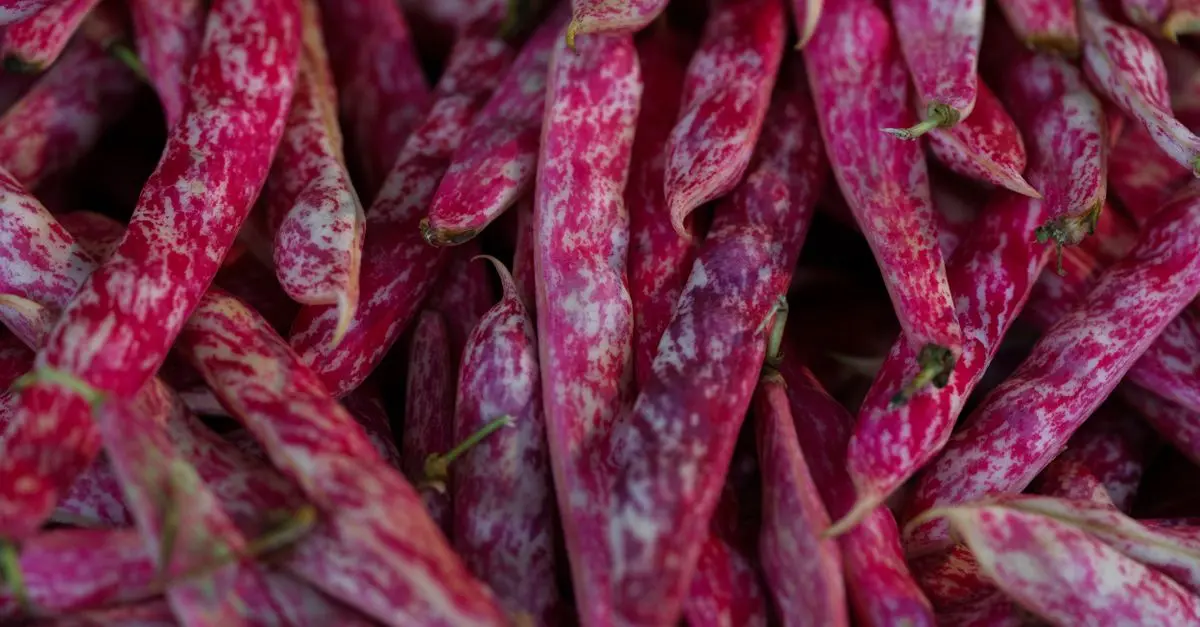 Guide Pratique pour Réussir la Culture des Légumes en Conteneurs