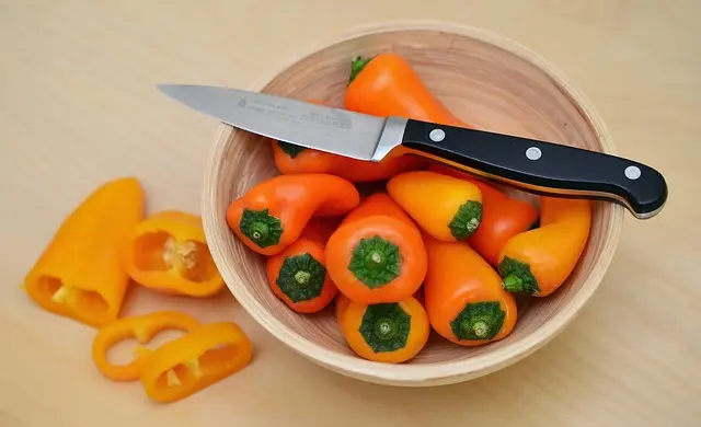Comment Préparer Votre Sol pour Cultiver des Légumes