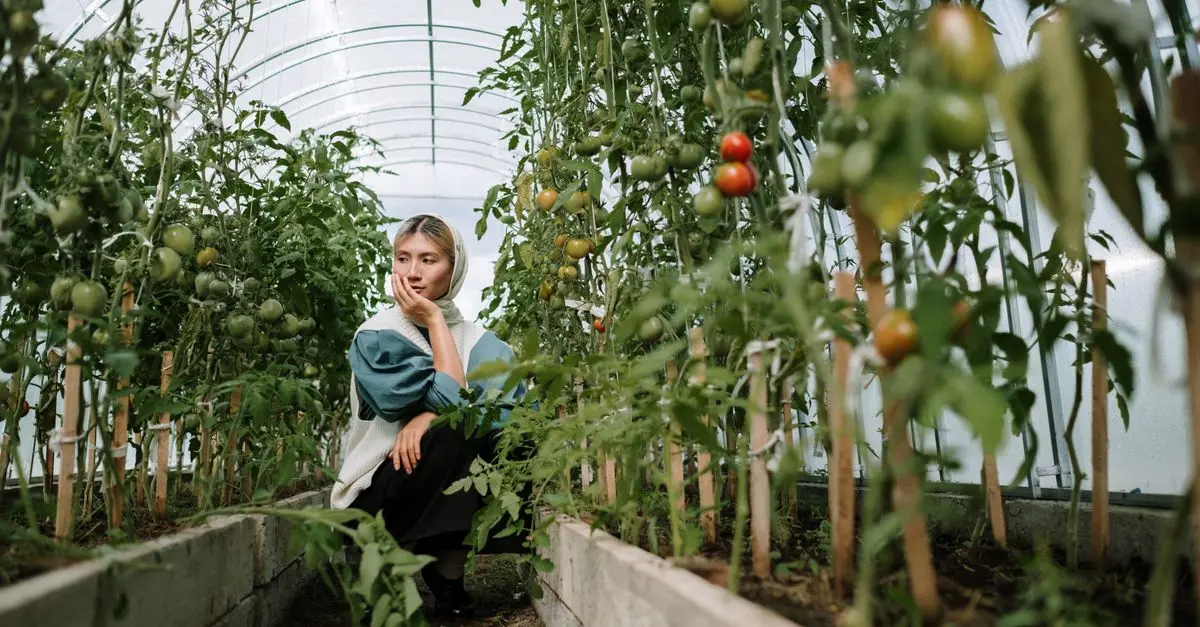 Guide Complet des Légumes d'Été : Cultivez et Savourez