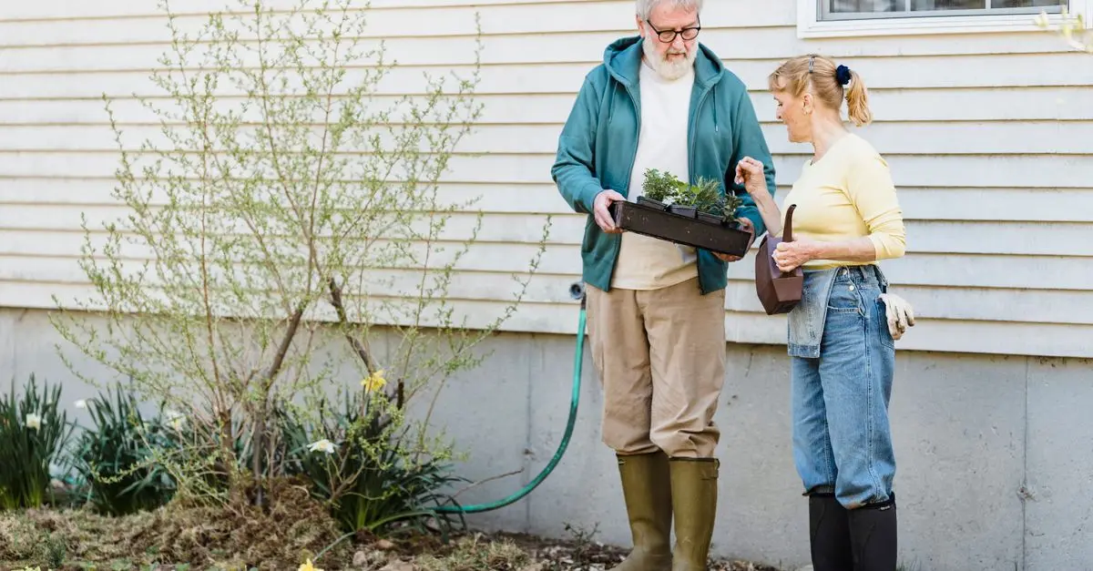 Guide Pratique pour Choisir les Légumes à Semer au Printemps