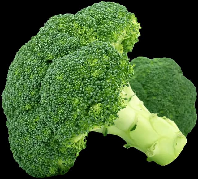 Comment Cultiver des Légumes en Équilibre : Guide Pratique