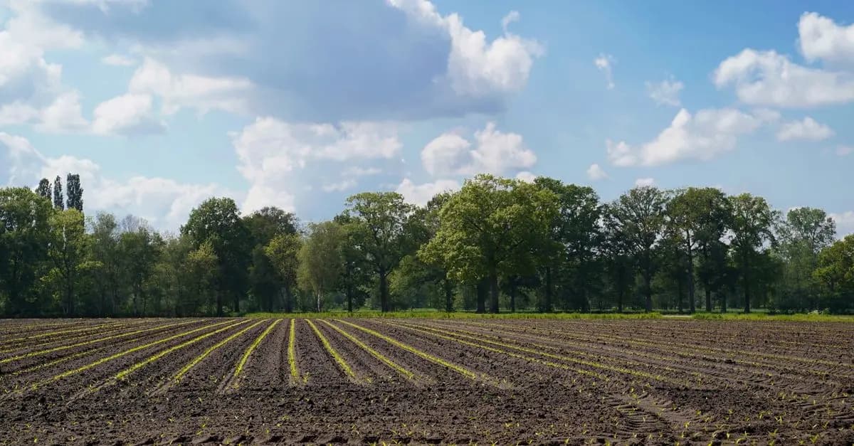 Guide Complet pour Cultiver des Légumes de Saison