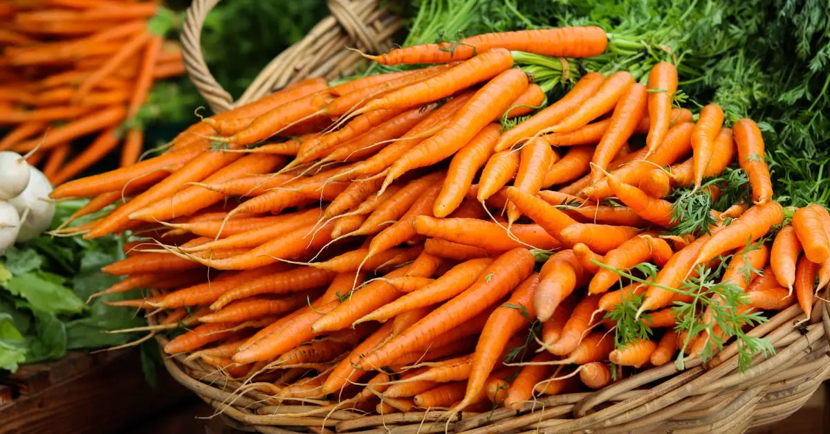 Les Légumes Bio : Faut-il Privilégier le Local ?