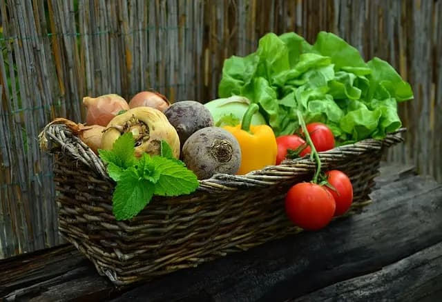 Les Meilleures Variétés de Légumes à Cultiver en Été