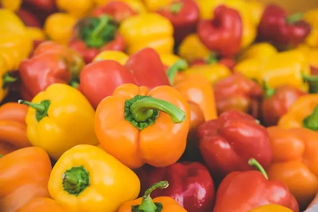 Les Légumes Indispensables à Cultiver Tout au Long de l'Année