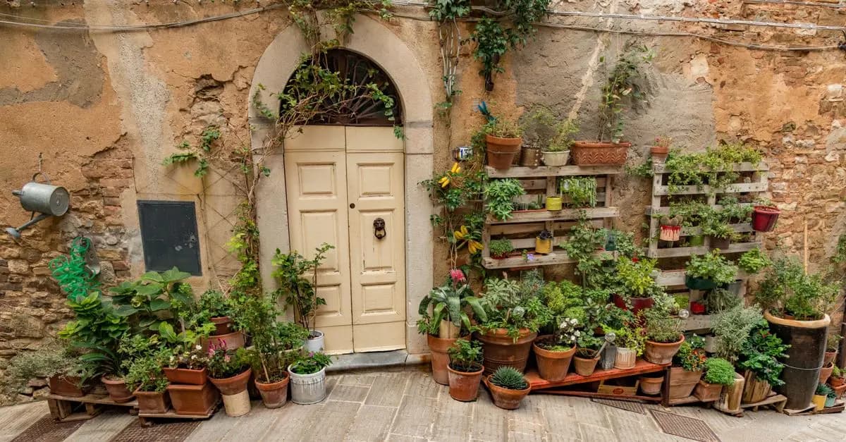 Les Légumes Mieux Adaptés à un Potager Urbain