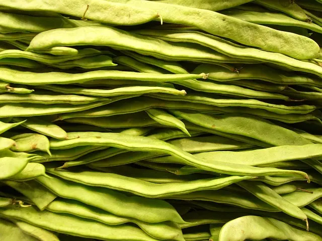 Guide Pratique pour Cultiver des Légumes Frustrants