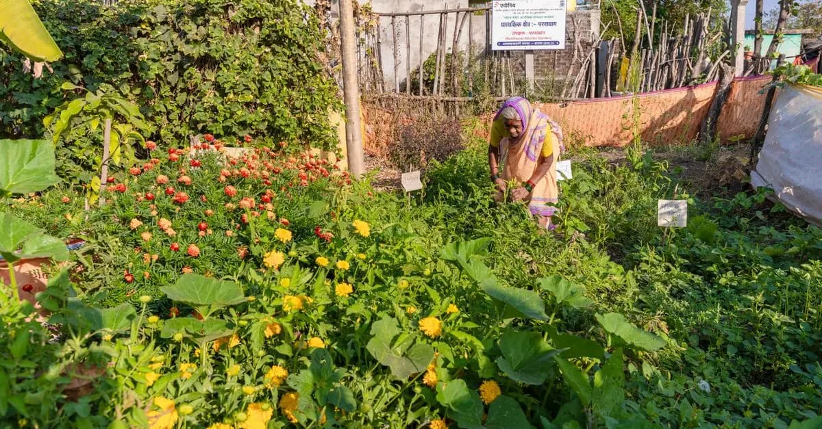 Guide Complet pour Choisir les Légumes à Cultiver