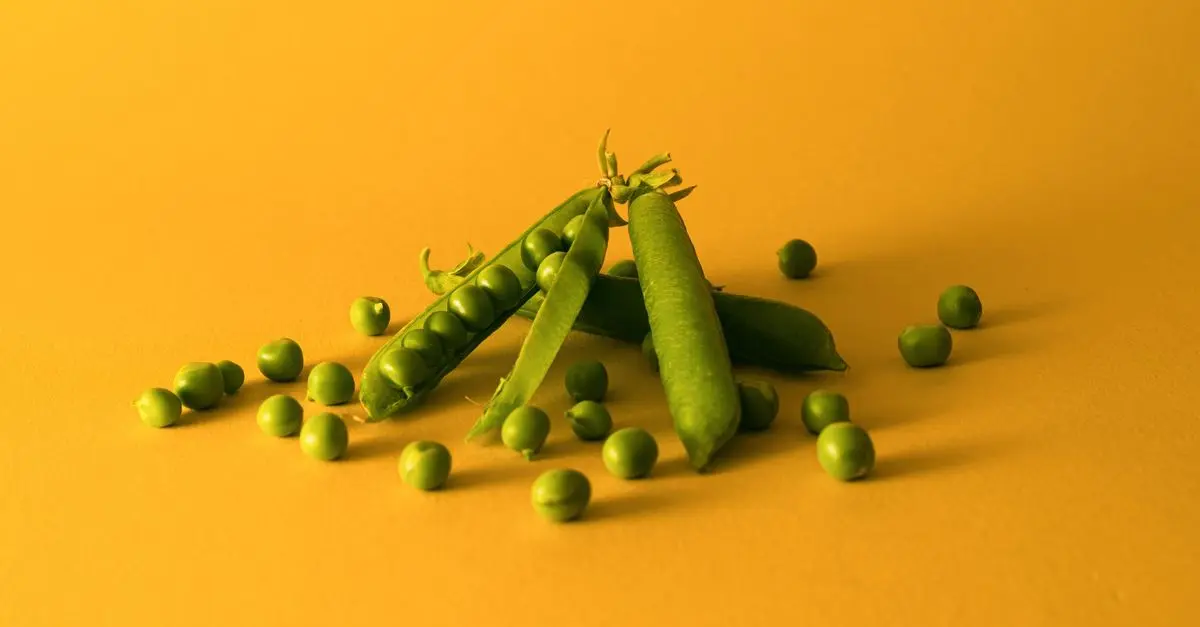 Potager surélevé : Avantages et Incidences sur les Cultures