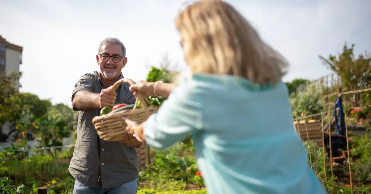 Les Secrets des Légumes Exotiques: Culture et Usages
