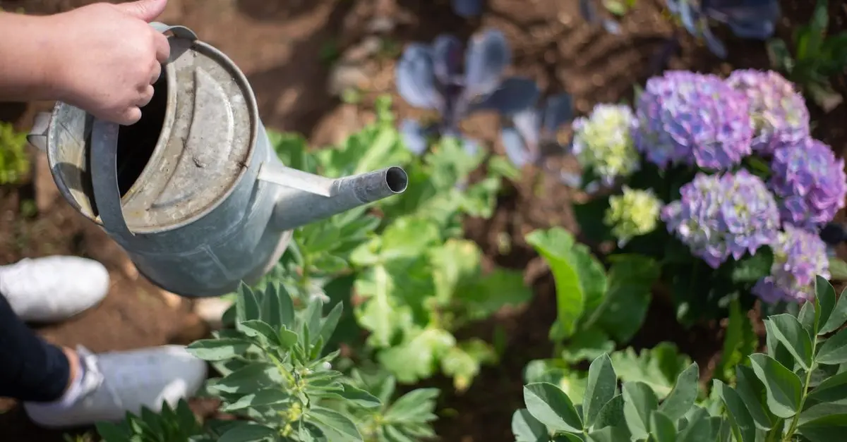 Comment Choisir les Meilleurs Légumes à Cultiver dans Votre Potager