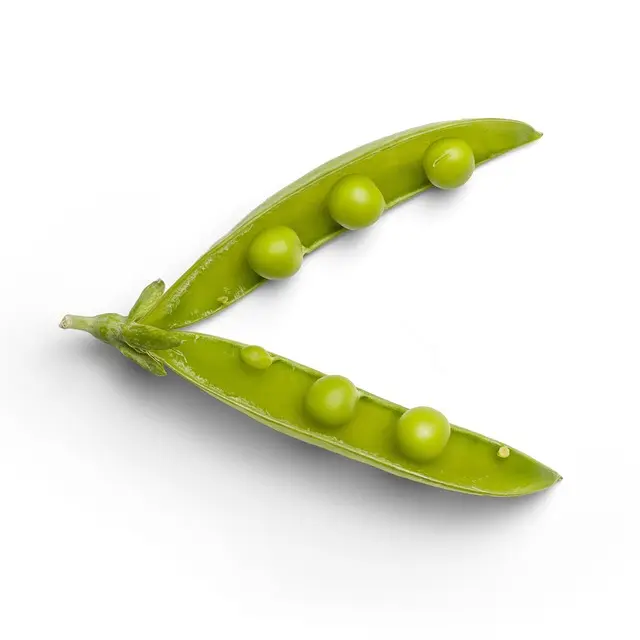 Guide Pratique des Légumes d'Été : Semis et Entretien