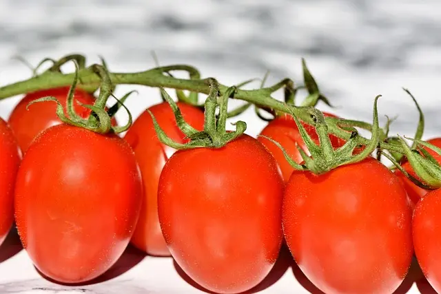 Guide Complet des Meilleurs Légumes à Cultiver en Intérieur