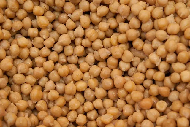 Les Avantages de l'Aquaponie pour Cultiver des Légumes