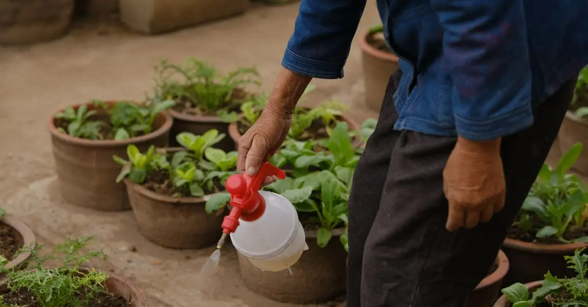 Les 10 Légumes les Plus Faciles à Cultiver dans Votre Potager