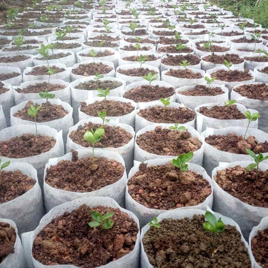 100 Pièces Sacs De Semis Non-tissés, Coupes De Pépinière, Bols À Nutriments Biodégradables Épaissis, Sacs De Plantation De Jardinage
