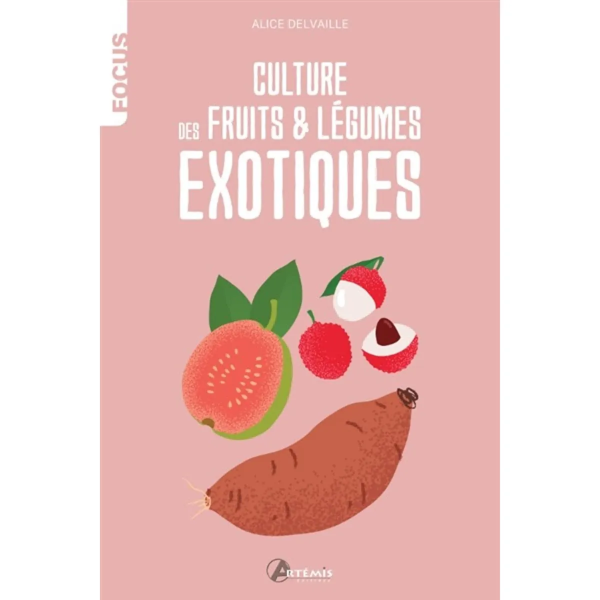 Culture des fruits & légumes exotiques