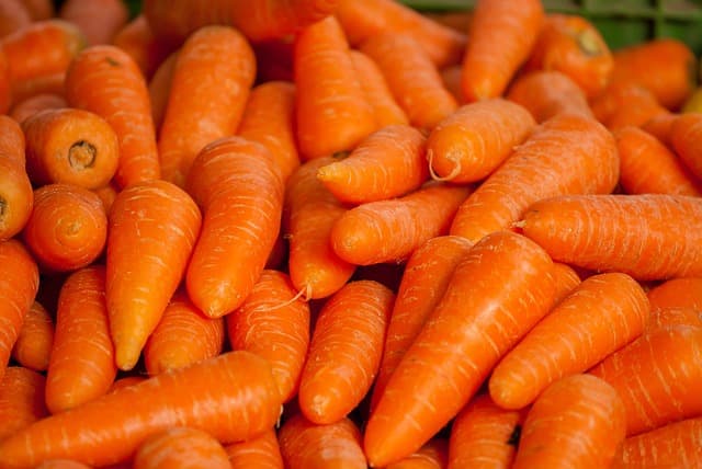 Guide Pratique pour Réussir la Culture de Légumes Bio