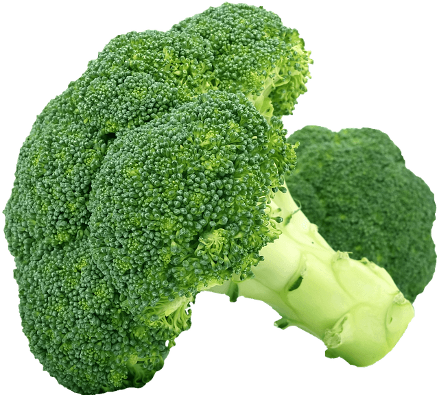 Tout Savoir sur les Légumes Écologiques : Avantages et Méthodes