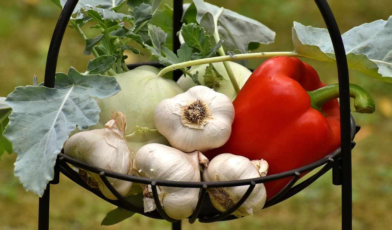 Guide Complet des Légumes d'Hiver : Variétés et Entretien